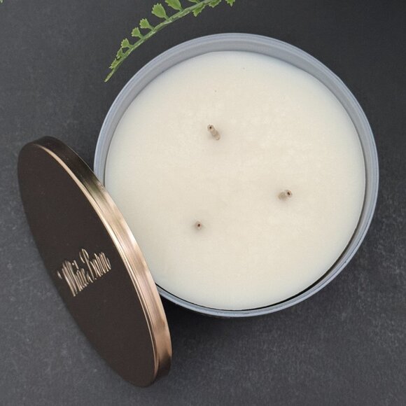 BBW Frozen Lake White Barn Bath & Body Works 3 Wick Candle - Picture 6 of 10